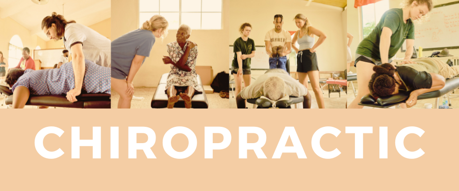 chiropractic banner kingston 2024